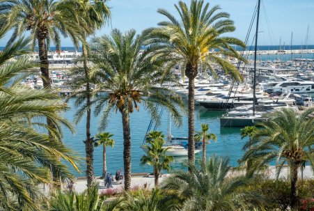 Apartamento - Venta - Alicante - Center