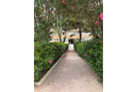 Apartmán - Prodej - Guardamar del Segura - Guardamar Playa