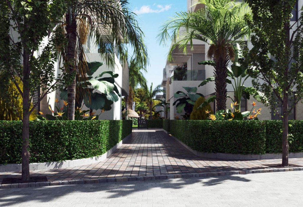 New Build - Apartment - Santa Rosalía