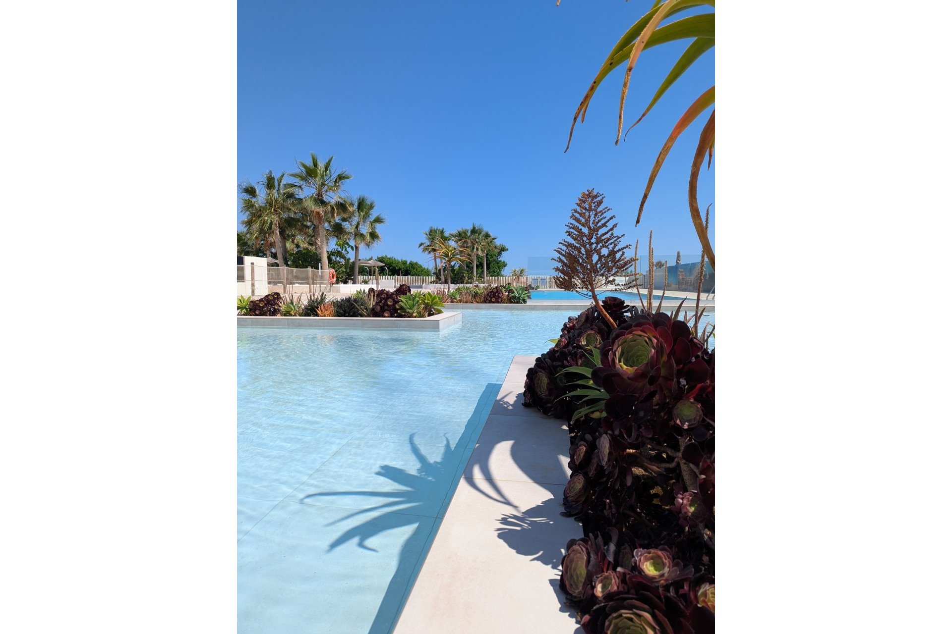 New Build - Appartement - Dénia