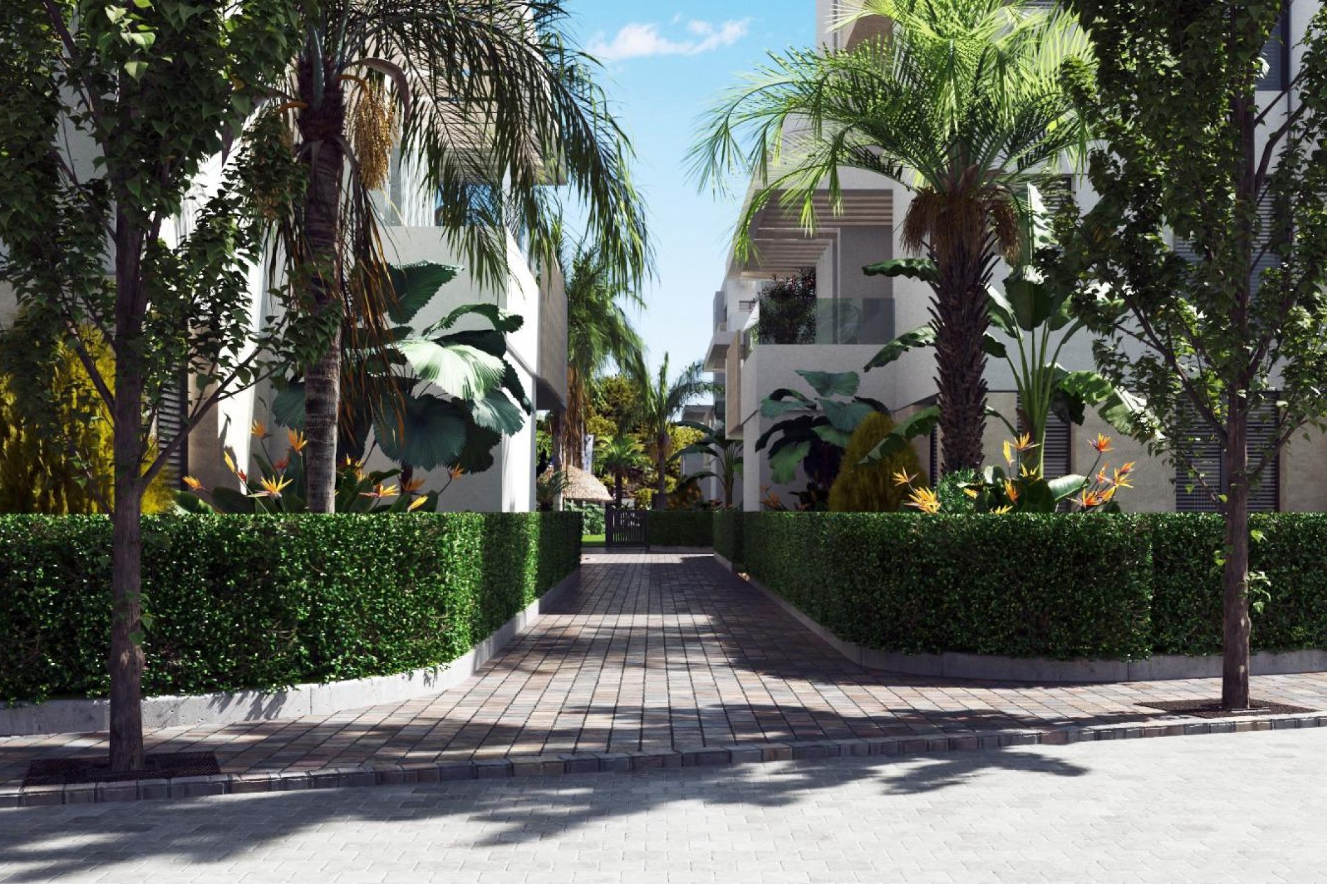 New Build - Appartement - Santa Rosalía