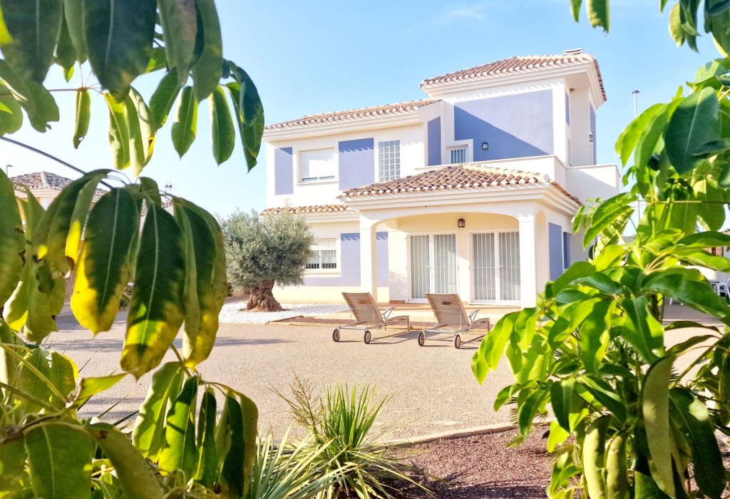 New Build - detached - Purias