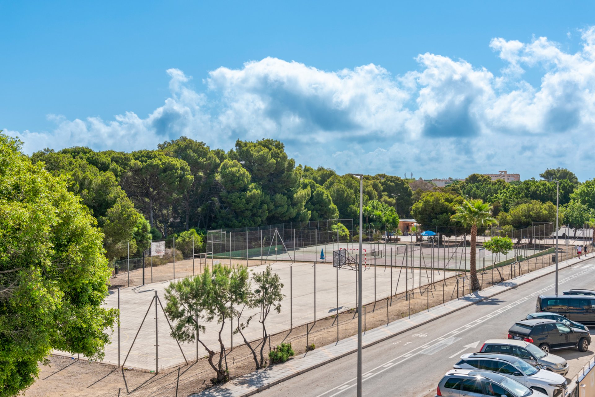 New Build - Villa - Pilar de la Horadada
