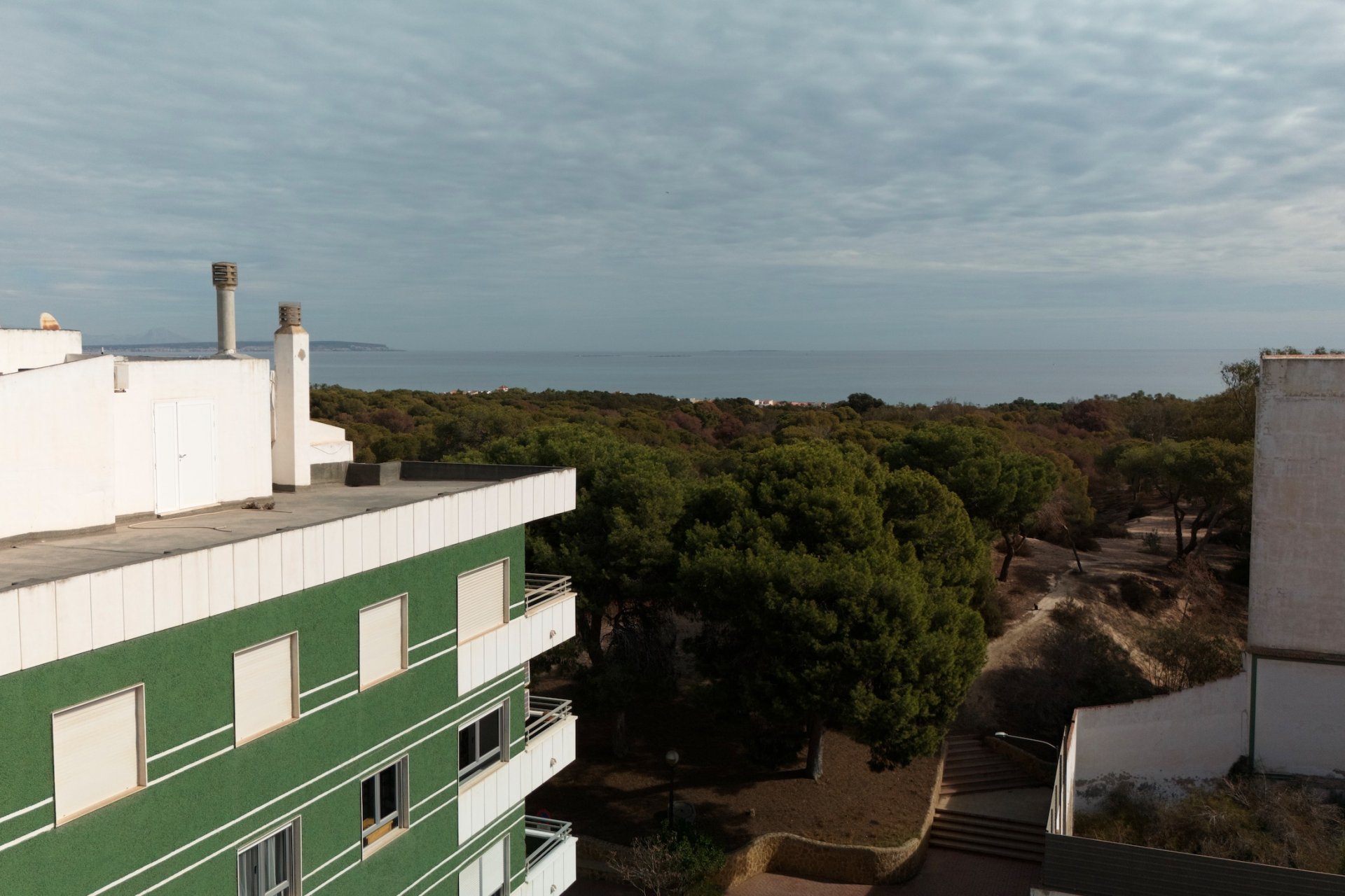 Novostavba - Apartmán - Guardamar del Segura