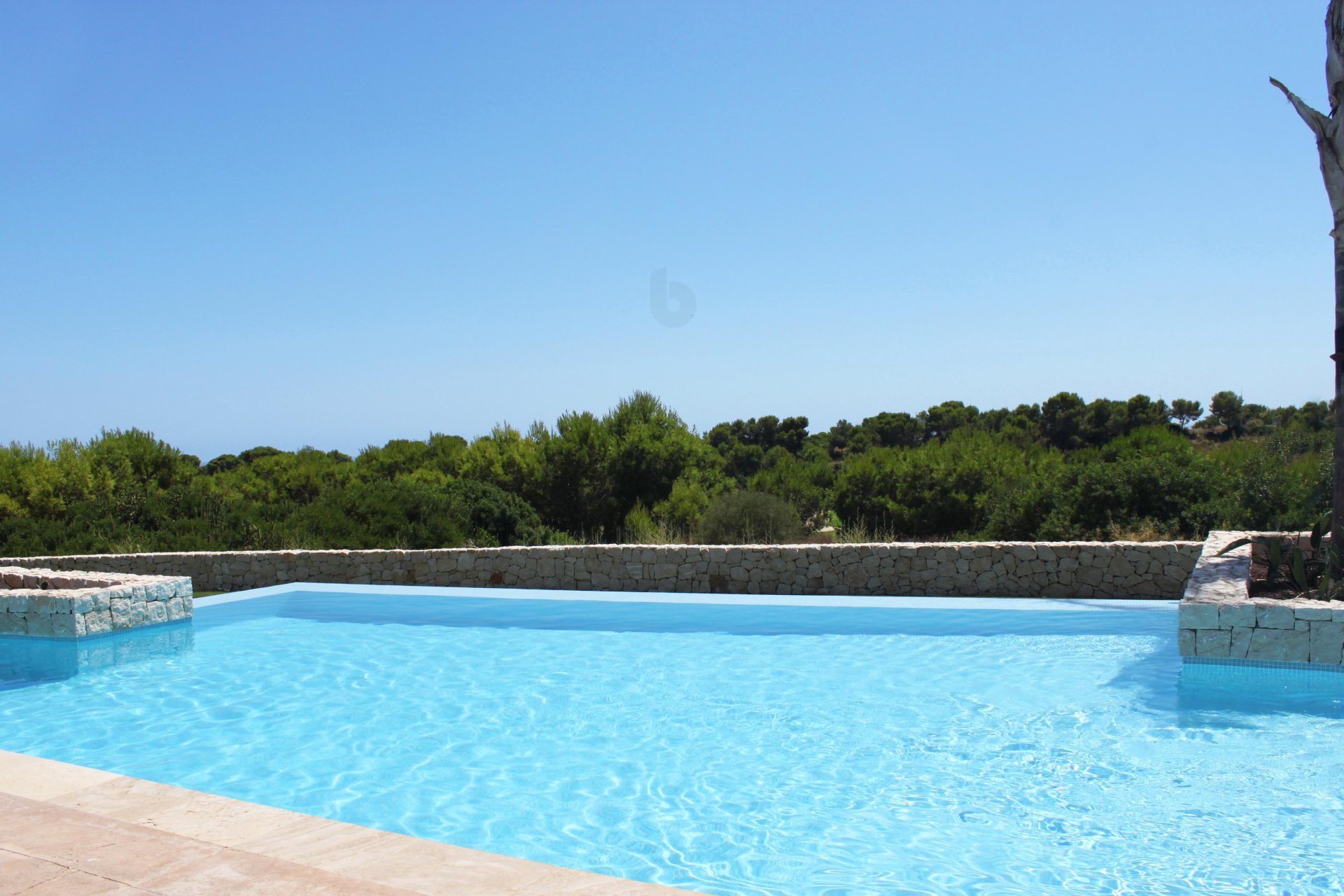 Obra Nueva - Apartamento - Pinar de Campoverde