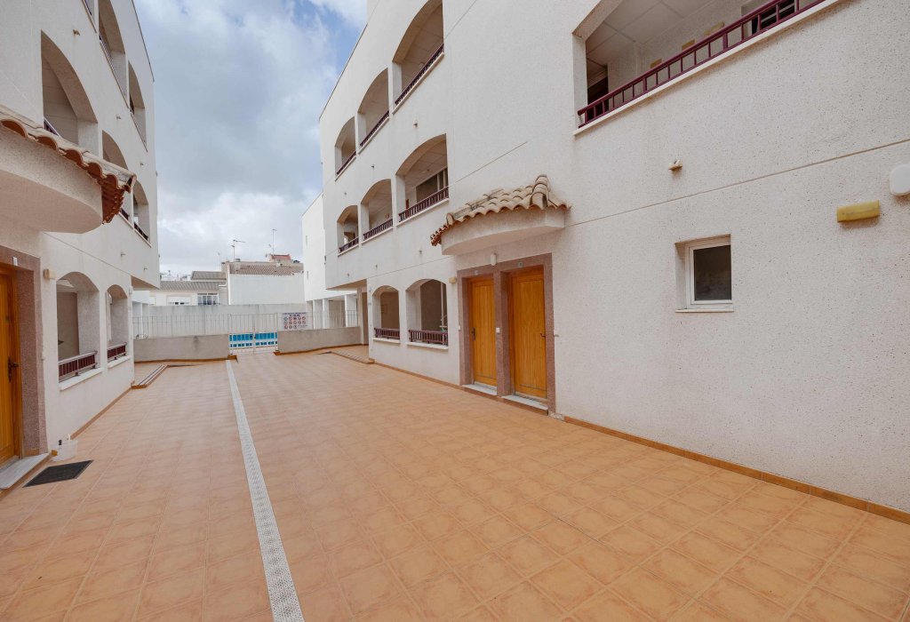 Obra Nueva - Apartamento - San Fulgencio