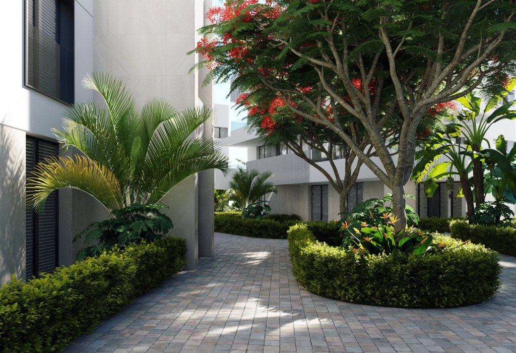 Obra Nueva - Apartamento - Torre-Pacheco
