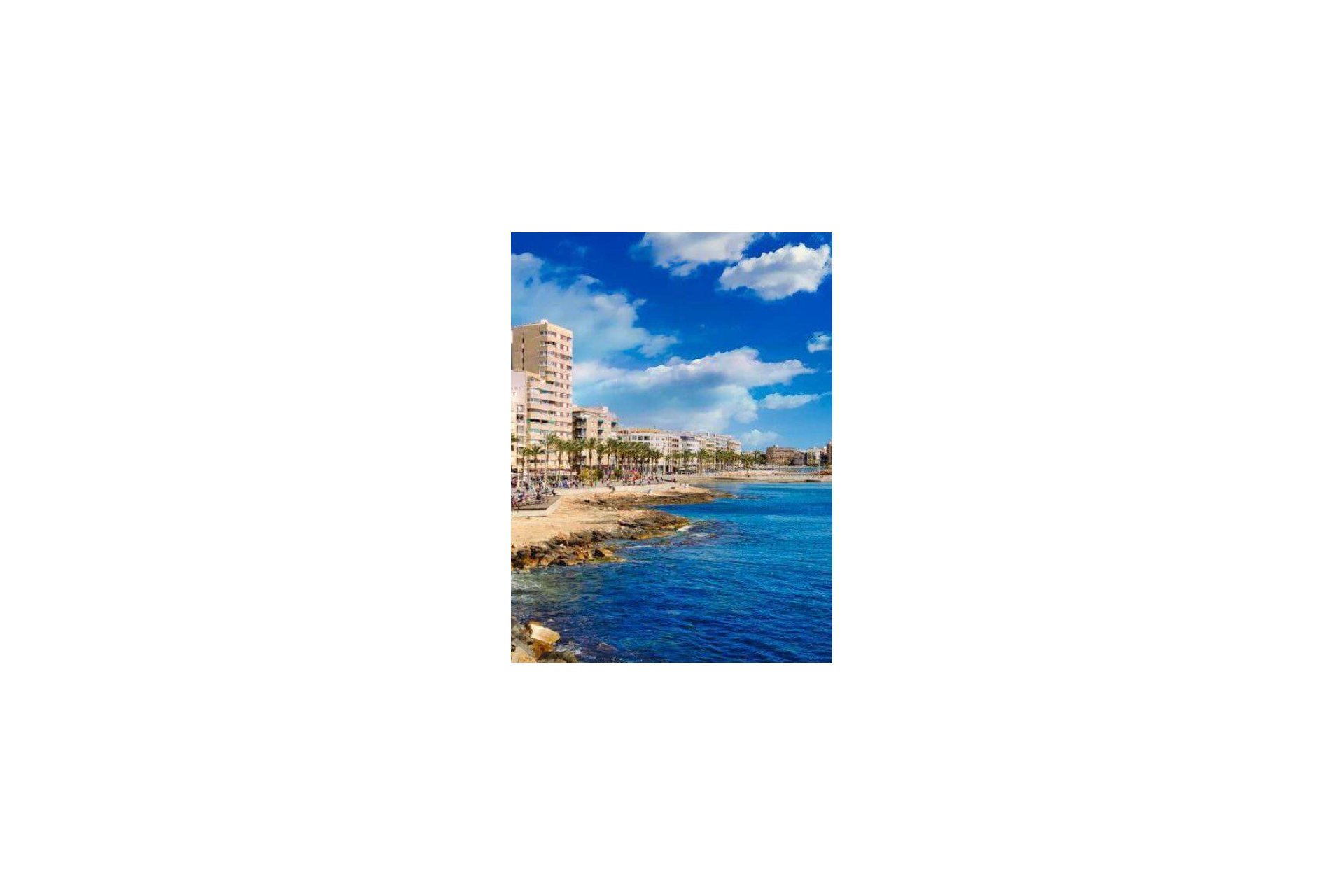 Obra Nueva - Apartamento - Torrevieja