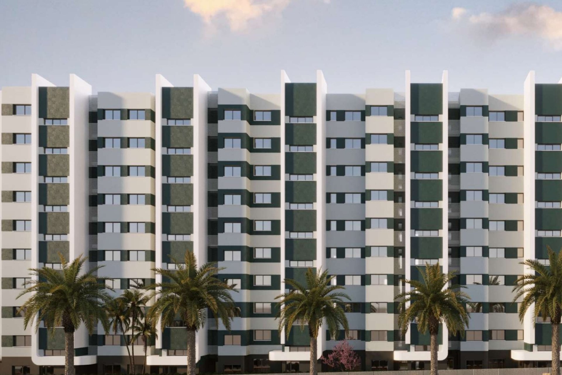 Obra Nueva - Apartamento - Torrevieja