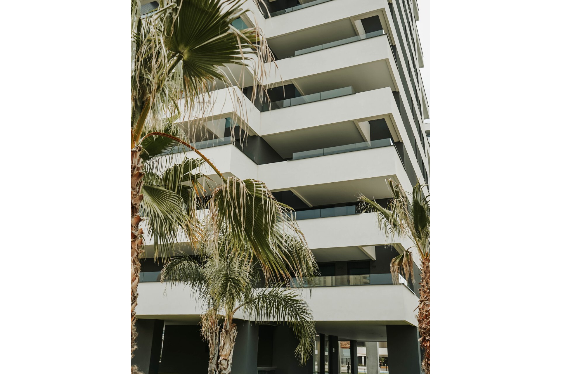 Obra Nueva - Atico - Calpe