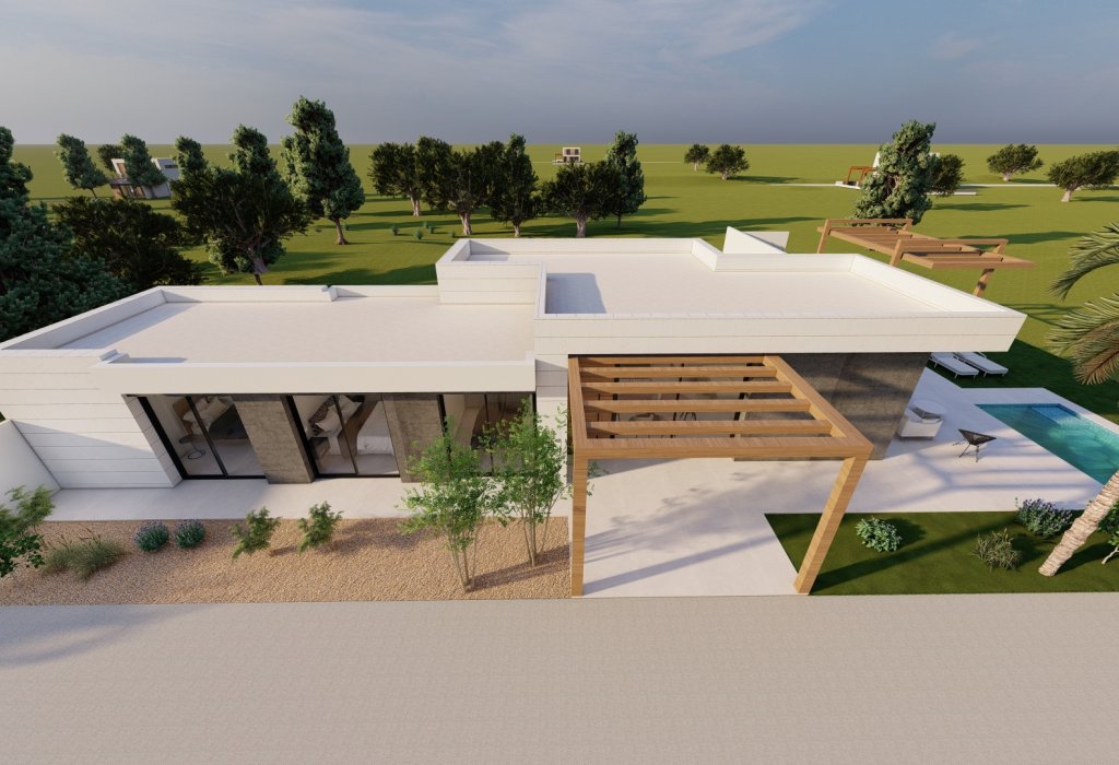 Obra Nueva - Chalet - Pilar de la Horadada