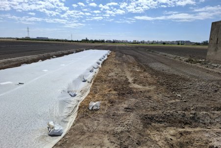 Parcela/Terreno - Venta - Guardamar del Segura - Guardamar Playa