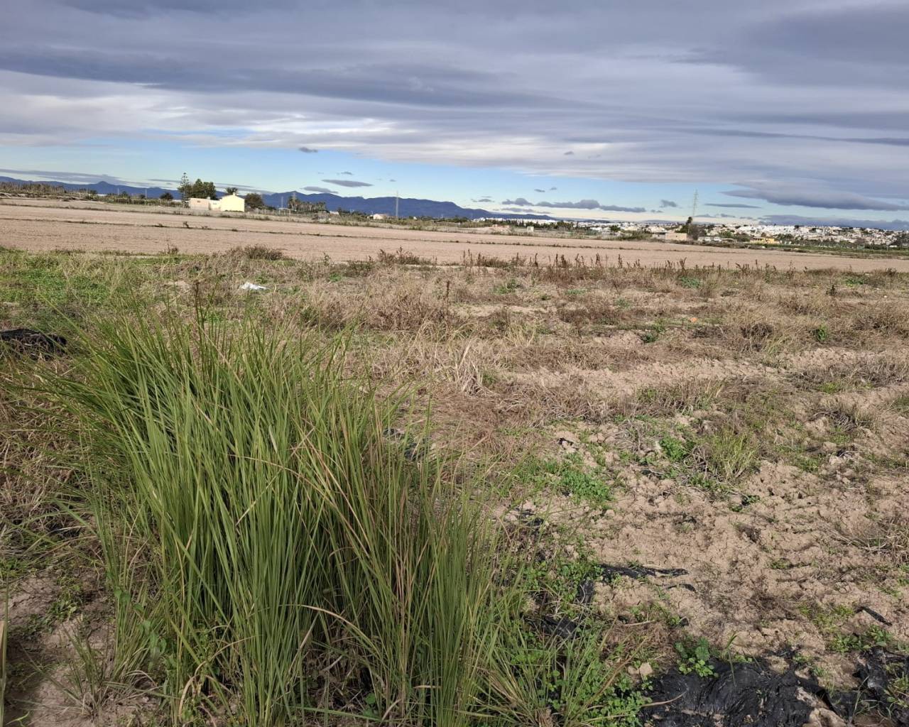 Parcela/Terreno - Venta - Guardamar del Segura - Guardamar pueblo