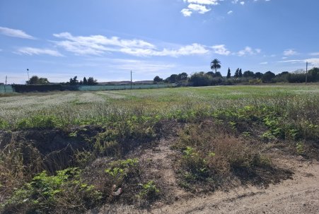 Parcelle - Sale - Guardamar del Segura - Guardamar pueblo