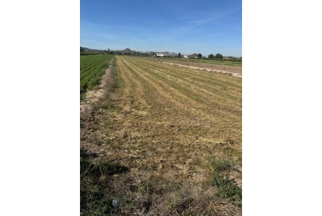 Pozemek - Prodej - Guardamar del Segura - AL0179