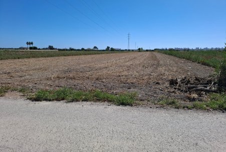Pozemek - Prodej - Guardamar del Segura - Guardamar Playa
