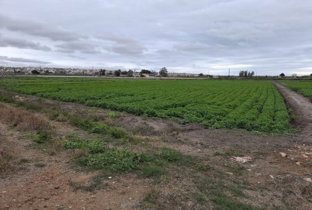 Pozemek - Prodej - San Fulgencio - San Fulgencio