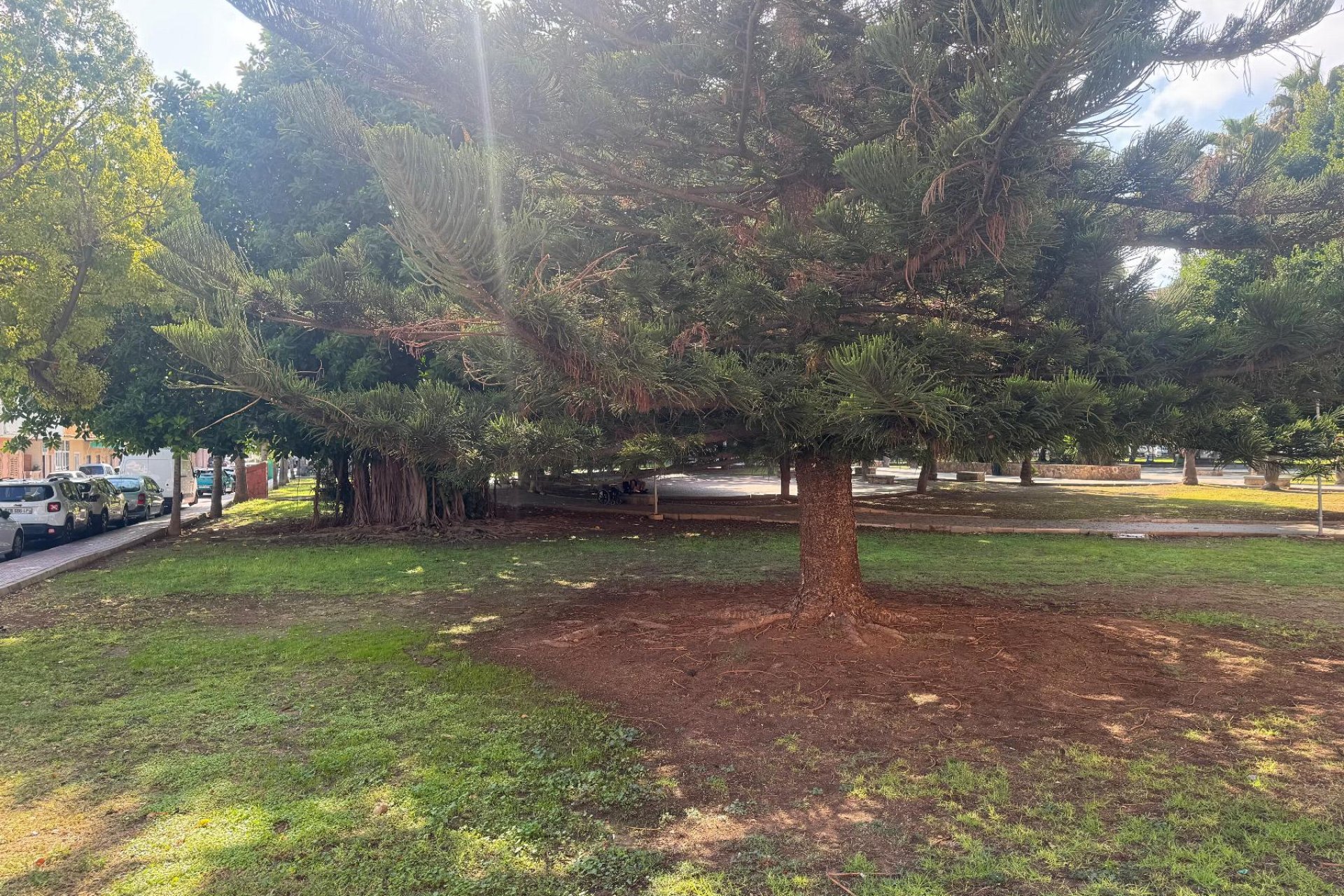 Prodej - Apartamento - Torrevieja - Playa del Acequión