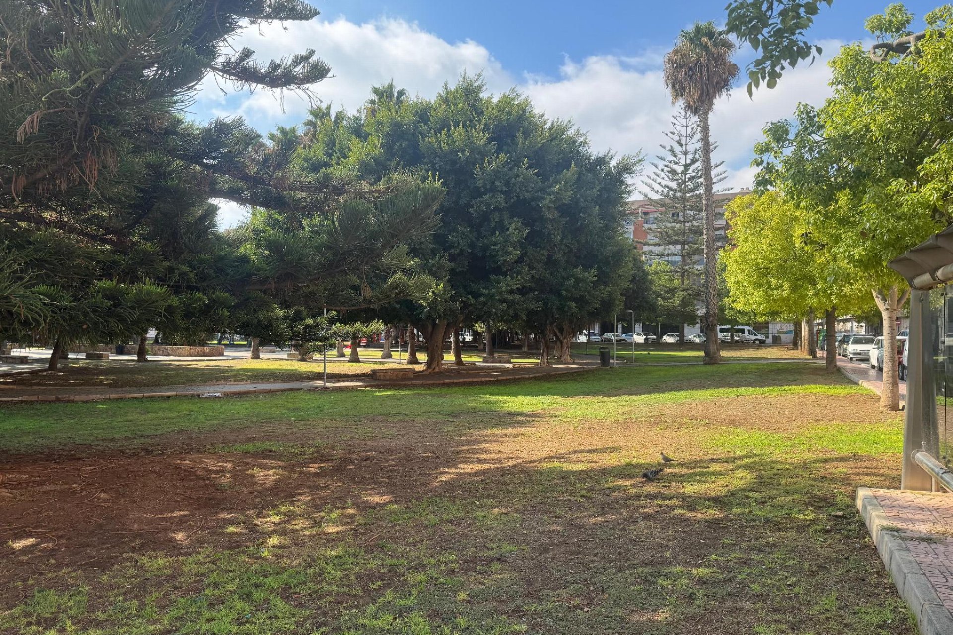 Prodej - Apartamento - Torrevieja - Playa del Acequión