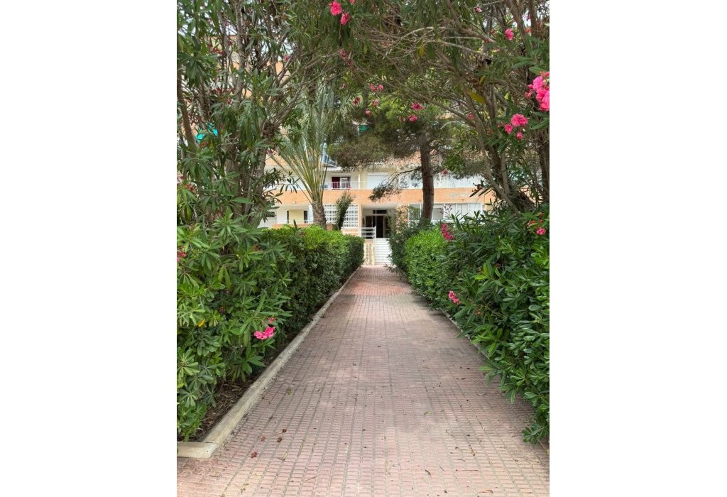 Prodej - Apartmán - Guardamar del Segura - Guardamar Playa