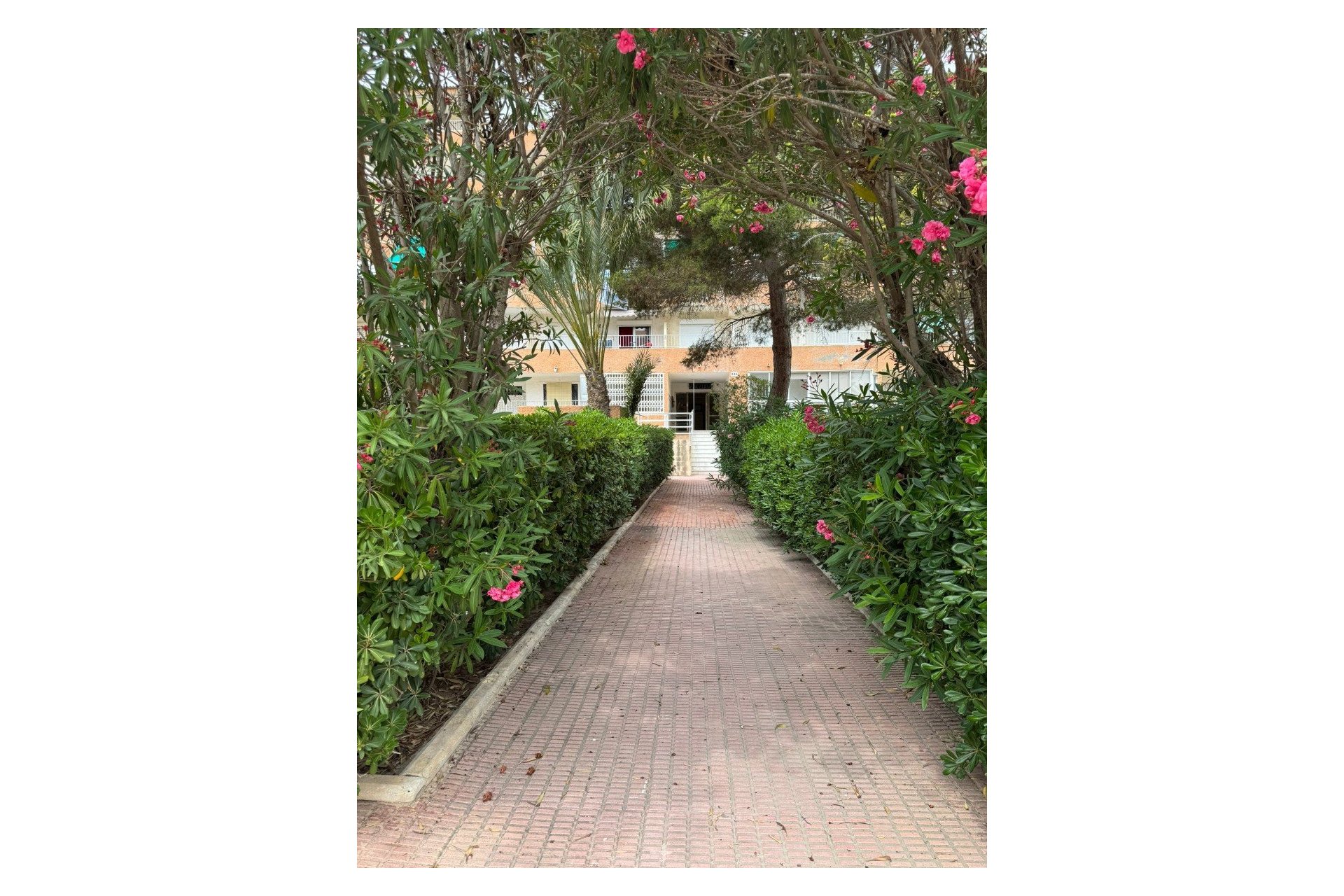 Prodej - Apartmán - Guardamar del Segura - Guardamar Playa