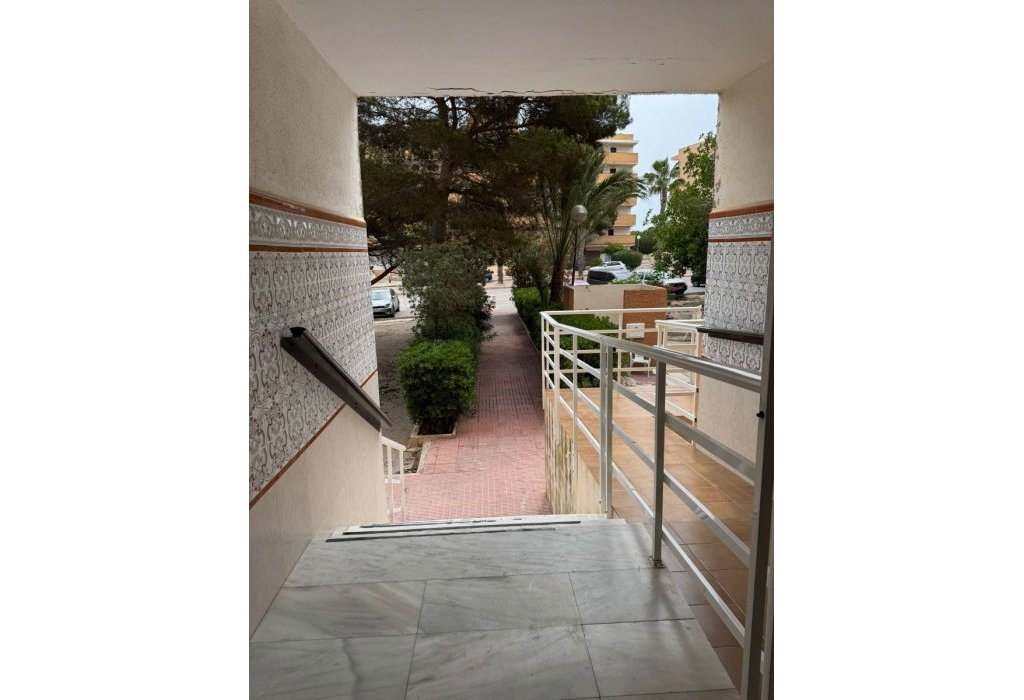 Prodej - Apartmán - Guardamar del Segura - Guardamar Playa