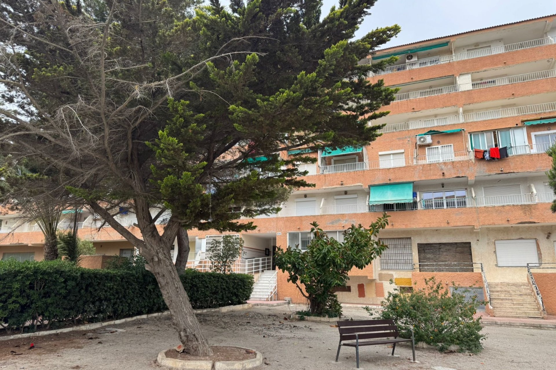 Prodej - Apartmán - Guardamar del Segura - Guardamar Playa