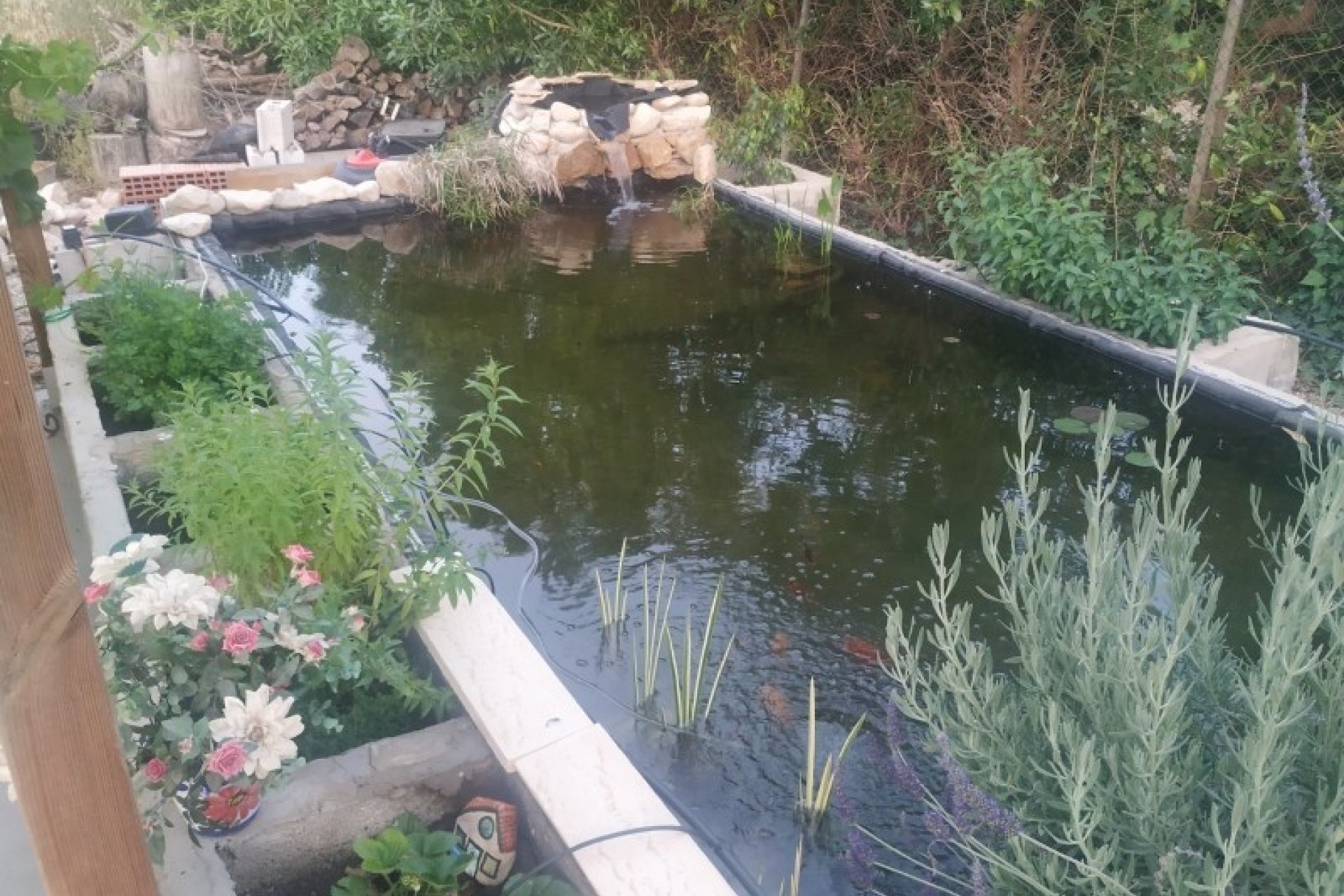 Prodej - Finca - Crevillente