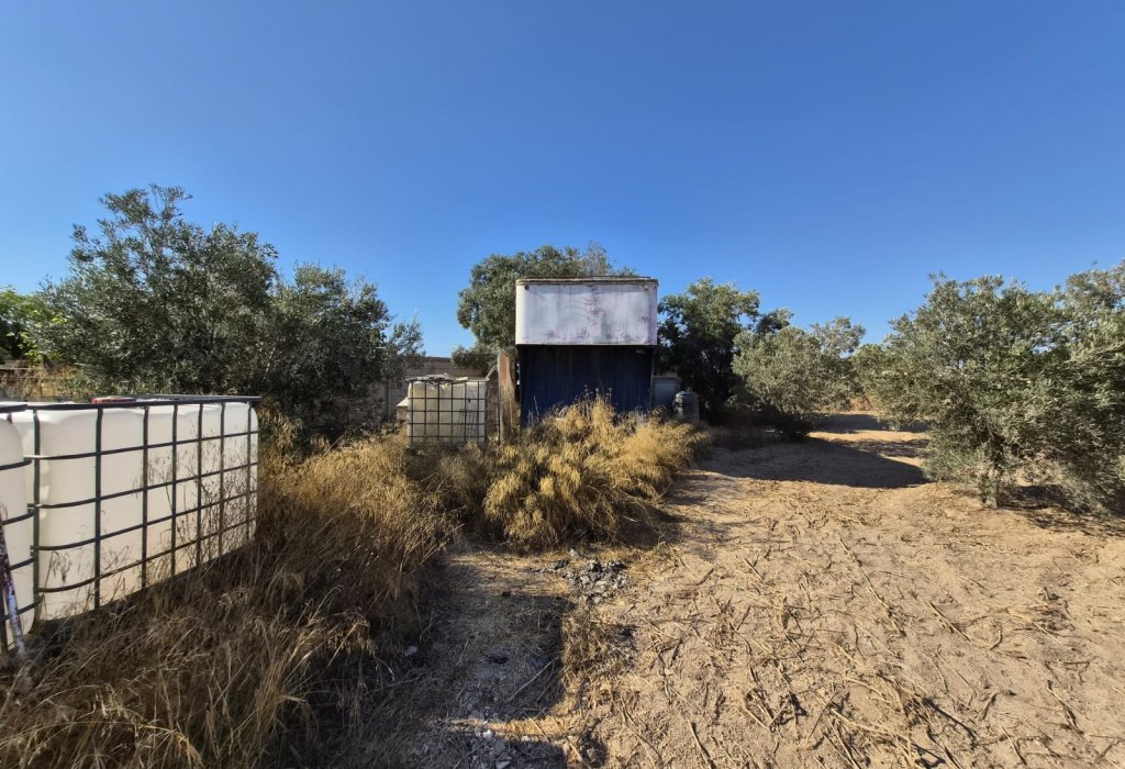 Prodej - Finca - Guardamar del Segura