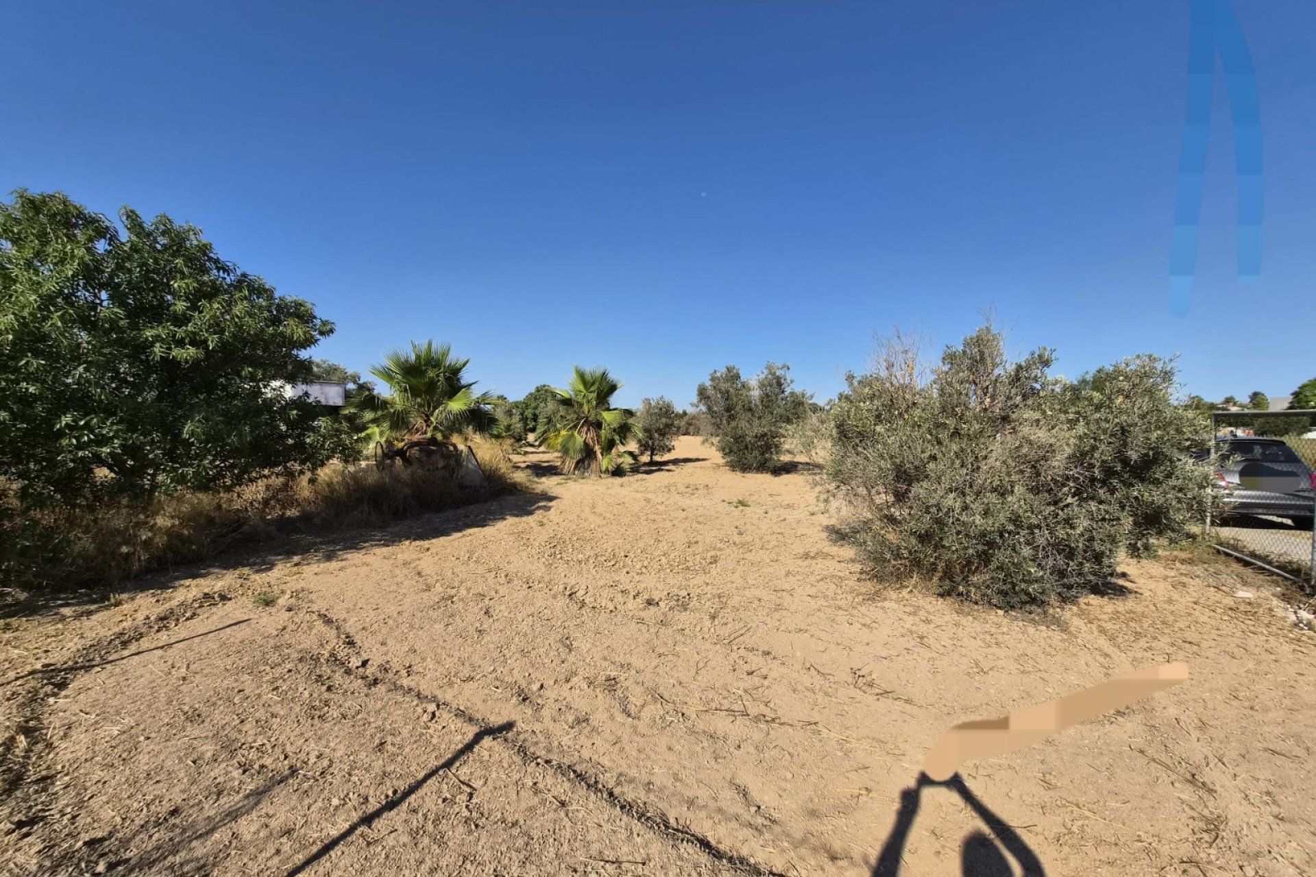 Prodej - Finca - Guardamar del Segura