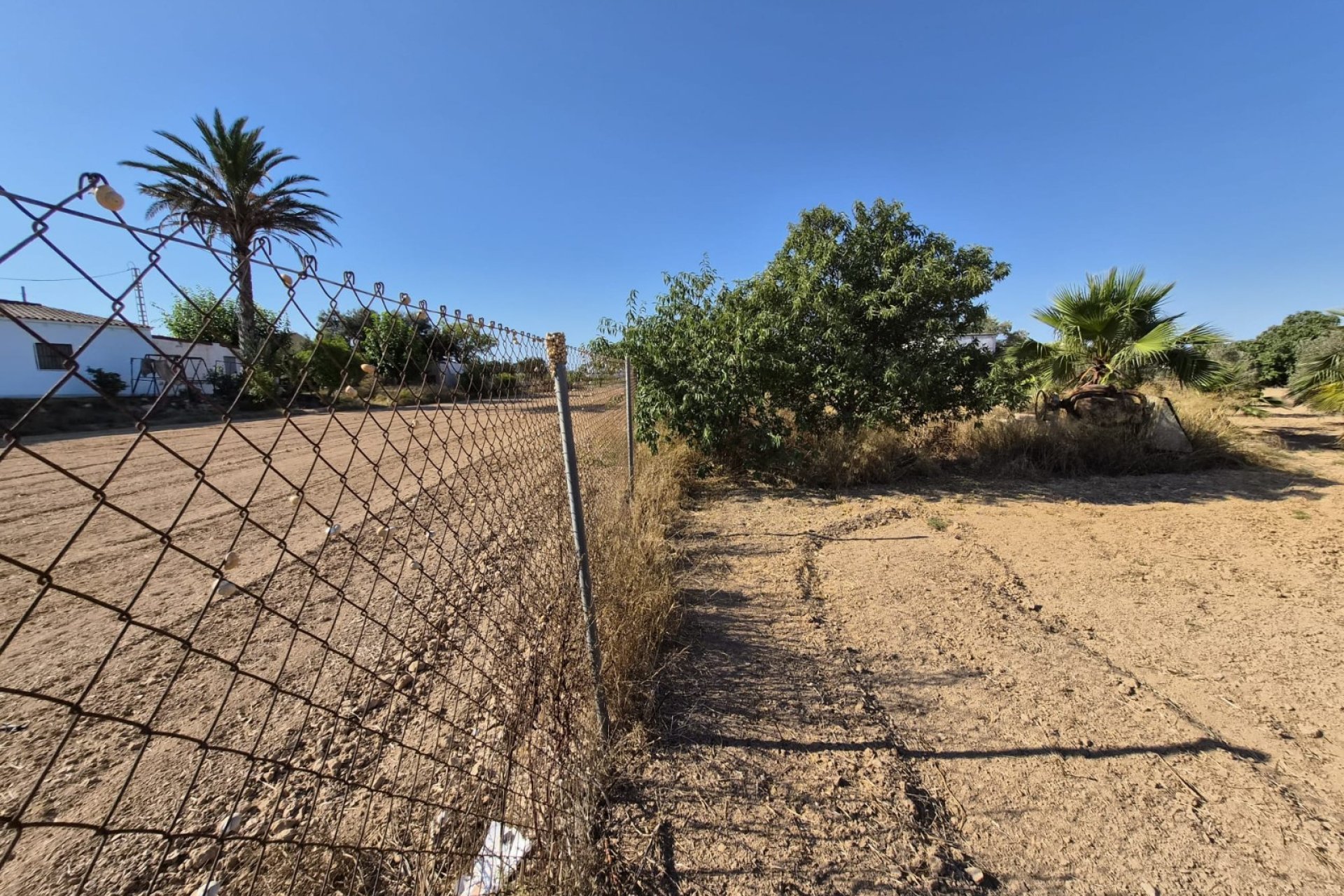 Prodej - Finca - Guardamar del Segura