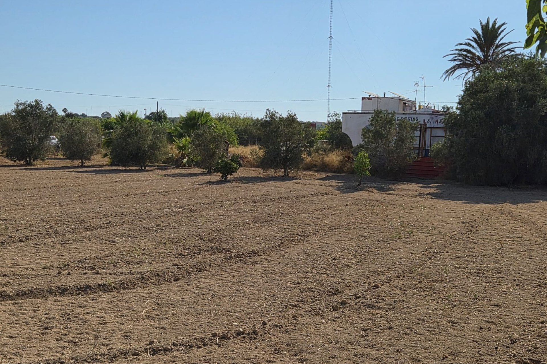 Prodej - Finca - Guardamar del Segura