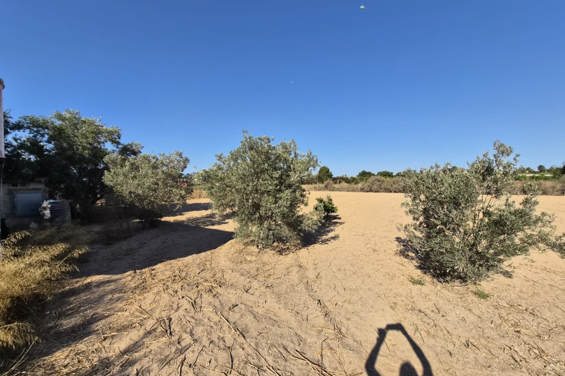 Prodej - Finca - Guardamar del Segura