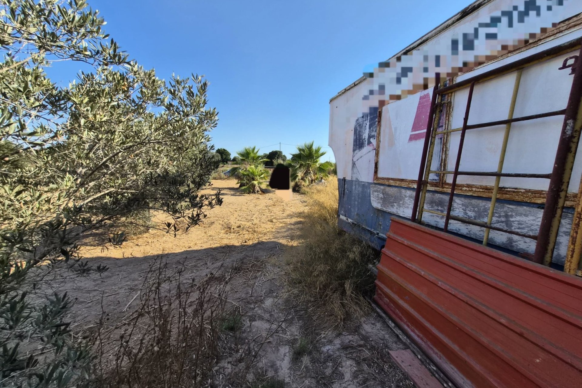 Prodej - Finca - Guardamar del Segura