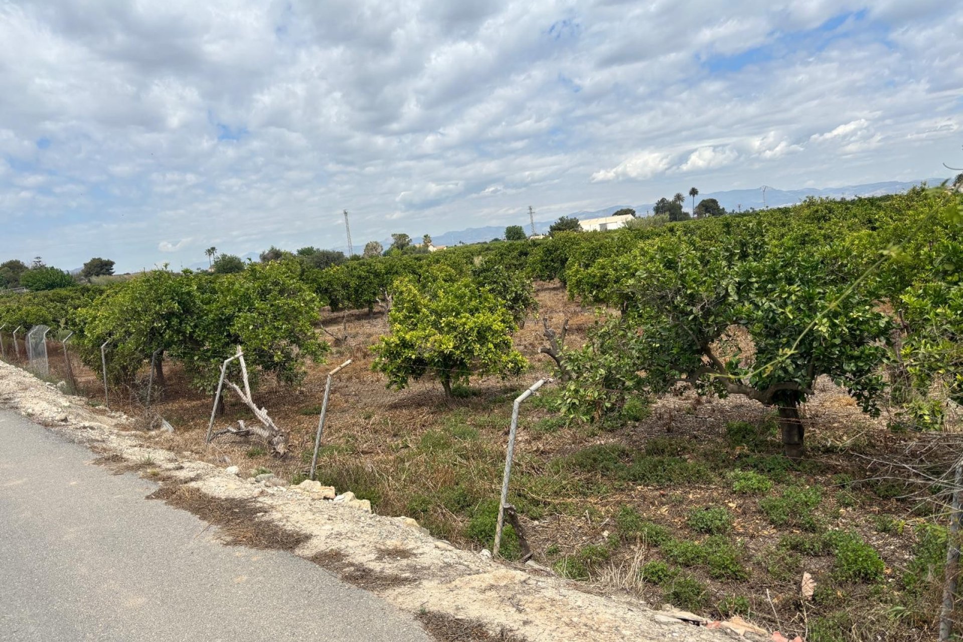 Prodej - Finca - Rojales - Ciudad Quesada