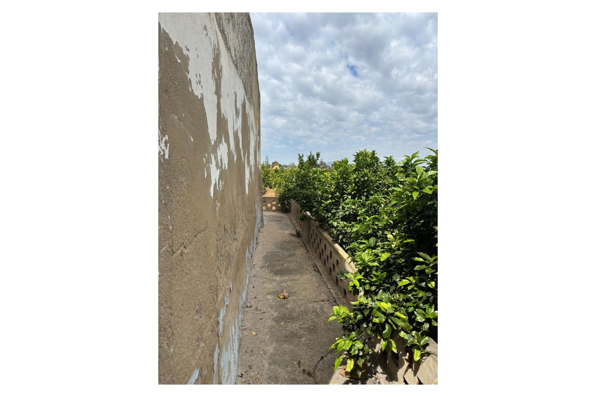 Prodej - Finca - Rojales - Ciudad Quesada