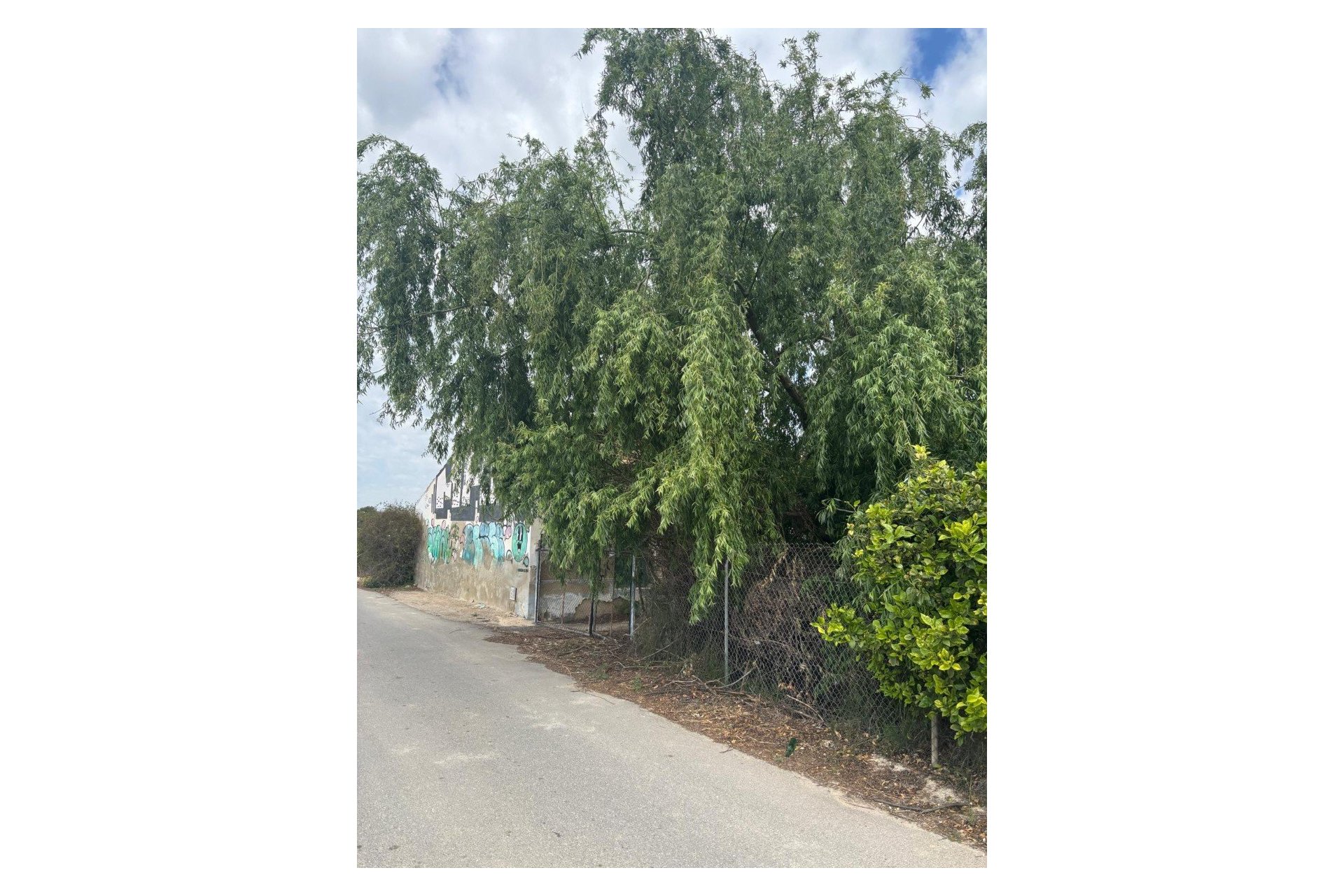 Prodej - Finca - Rojales - Ciudad Quesada