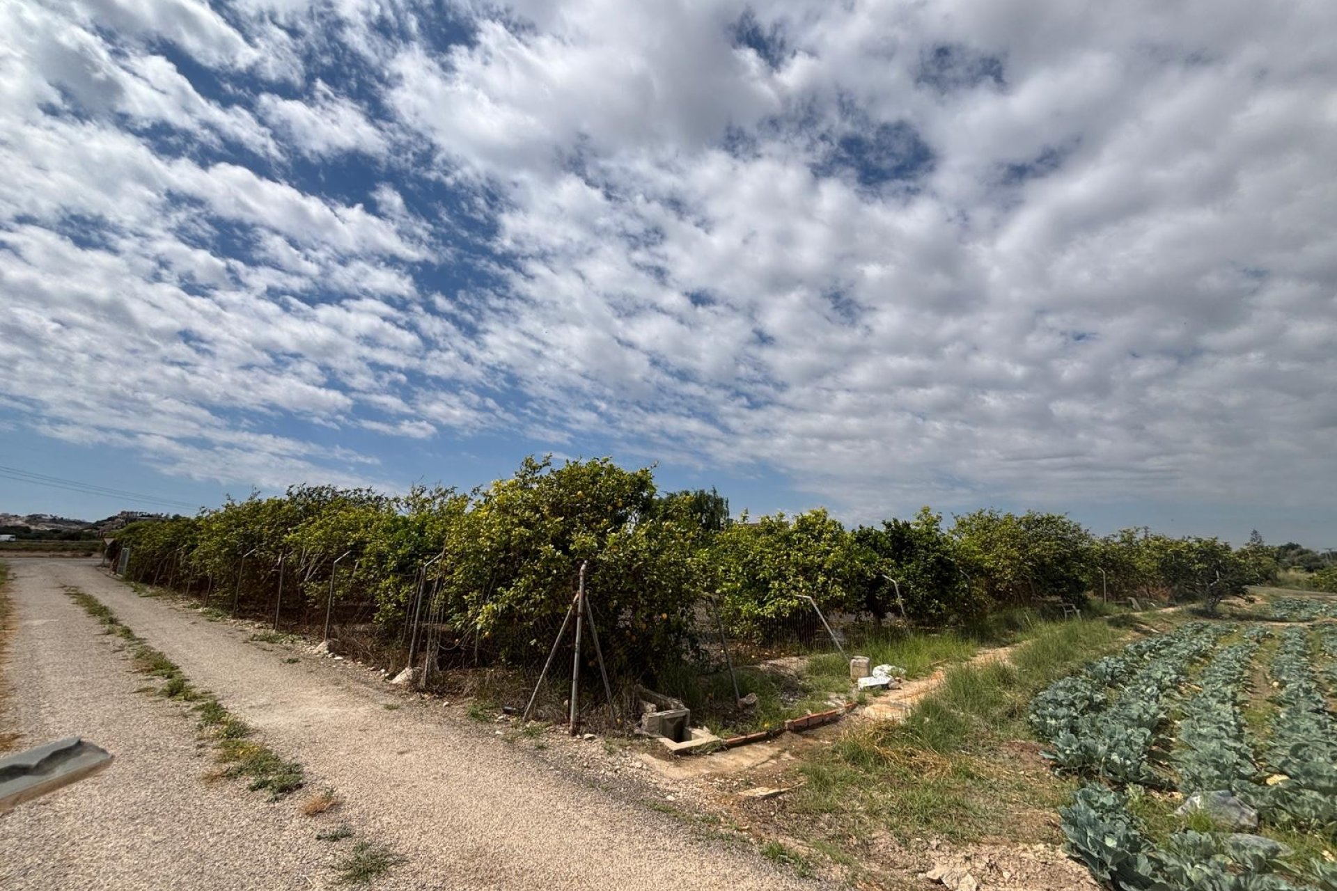 Prodej - Finca - Rojales - Ciudad Quesada