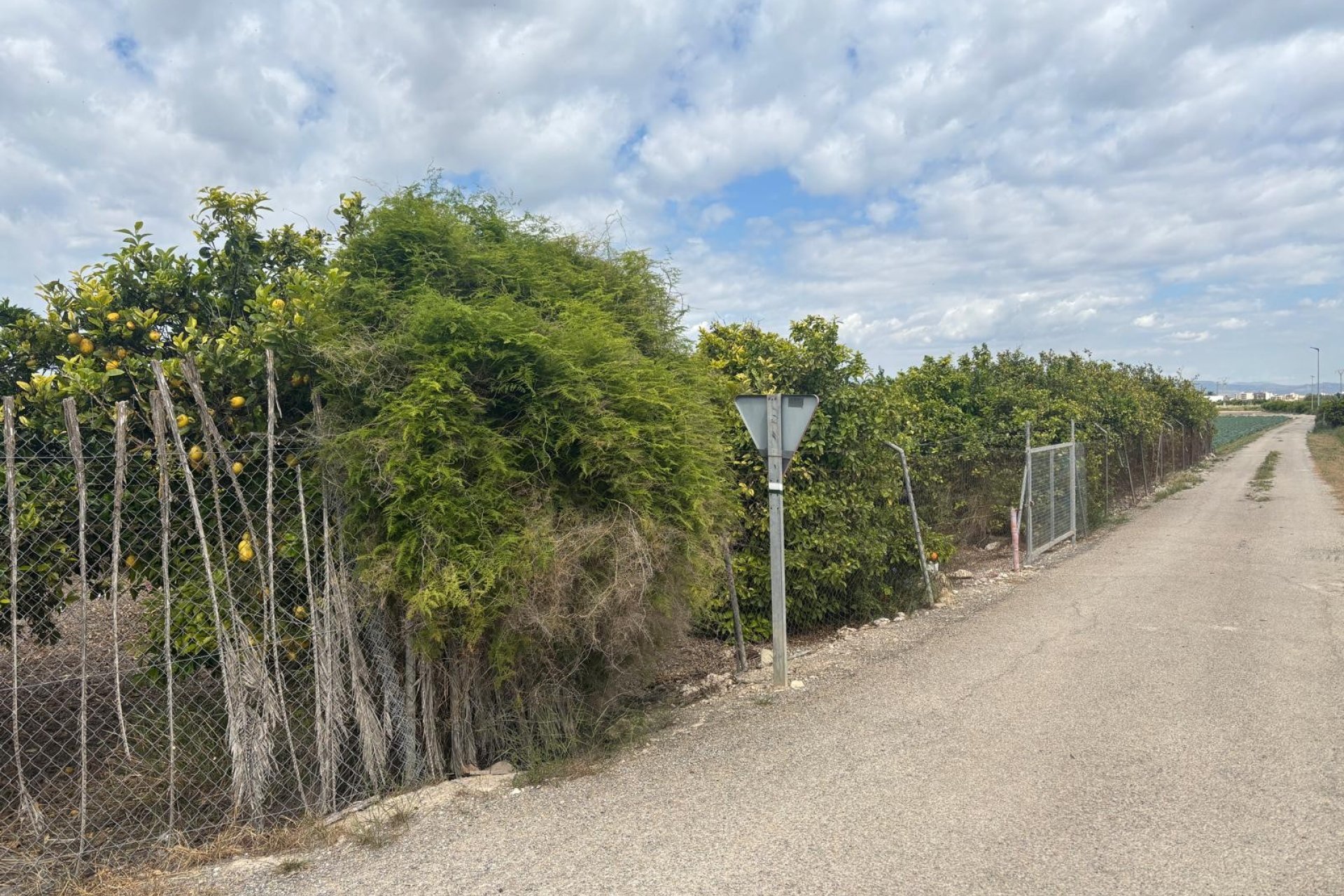 Prodej - Finca - Rojales - Ciudad Quesada