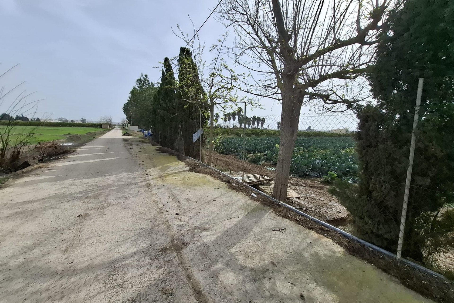 Prodej - Městský dům - Guardamar del Segura - Guardamar pueblo
