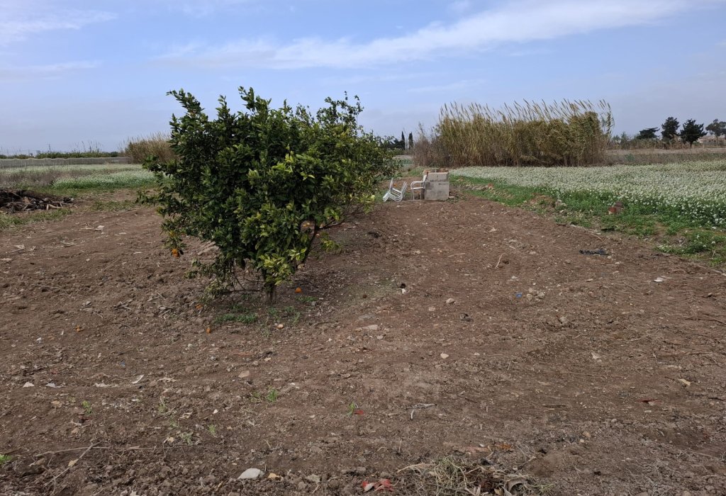 Prodej - Pozemek - Guardamar del Segura - Guardamar Playa