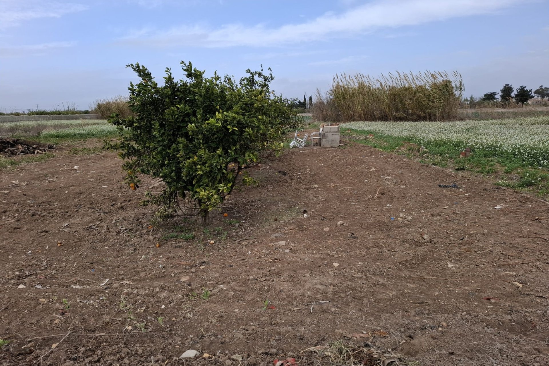 Prodej - Pozemek - Guardamar del Segura - Guardamar Playa