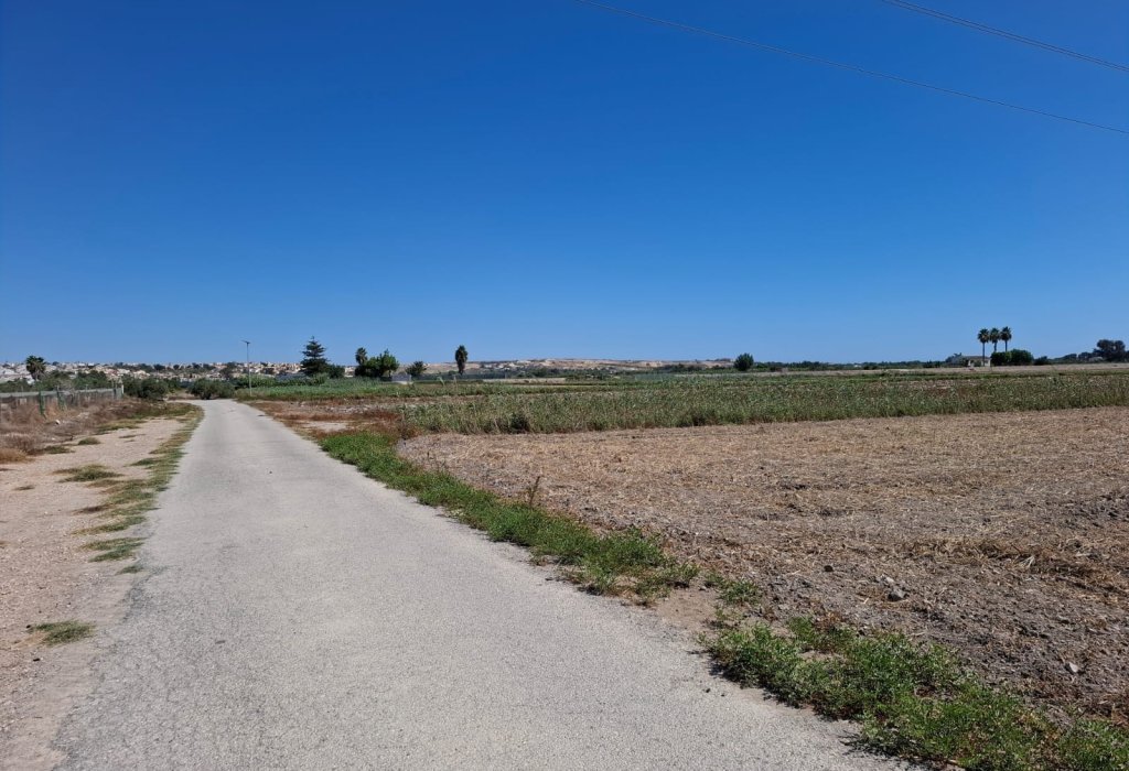 Prodej - Pozemek - Guardamar del Segura - Guardamar Playa