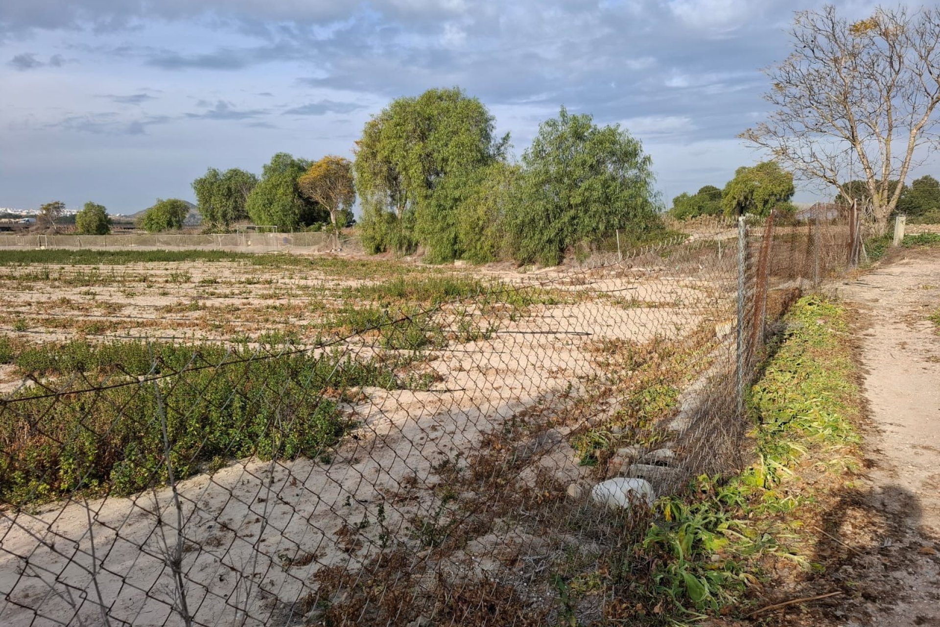 Prodej - Pozemek - Guardamar del Segura - Guardamar pueblo
