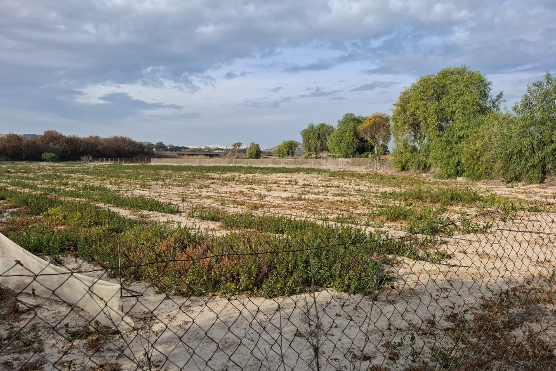 Prodej - Pozemek - Guardamar del Segura - Guardamar pueblo