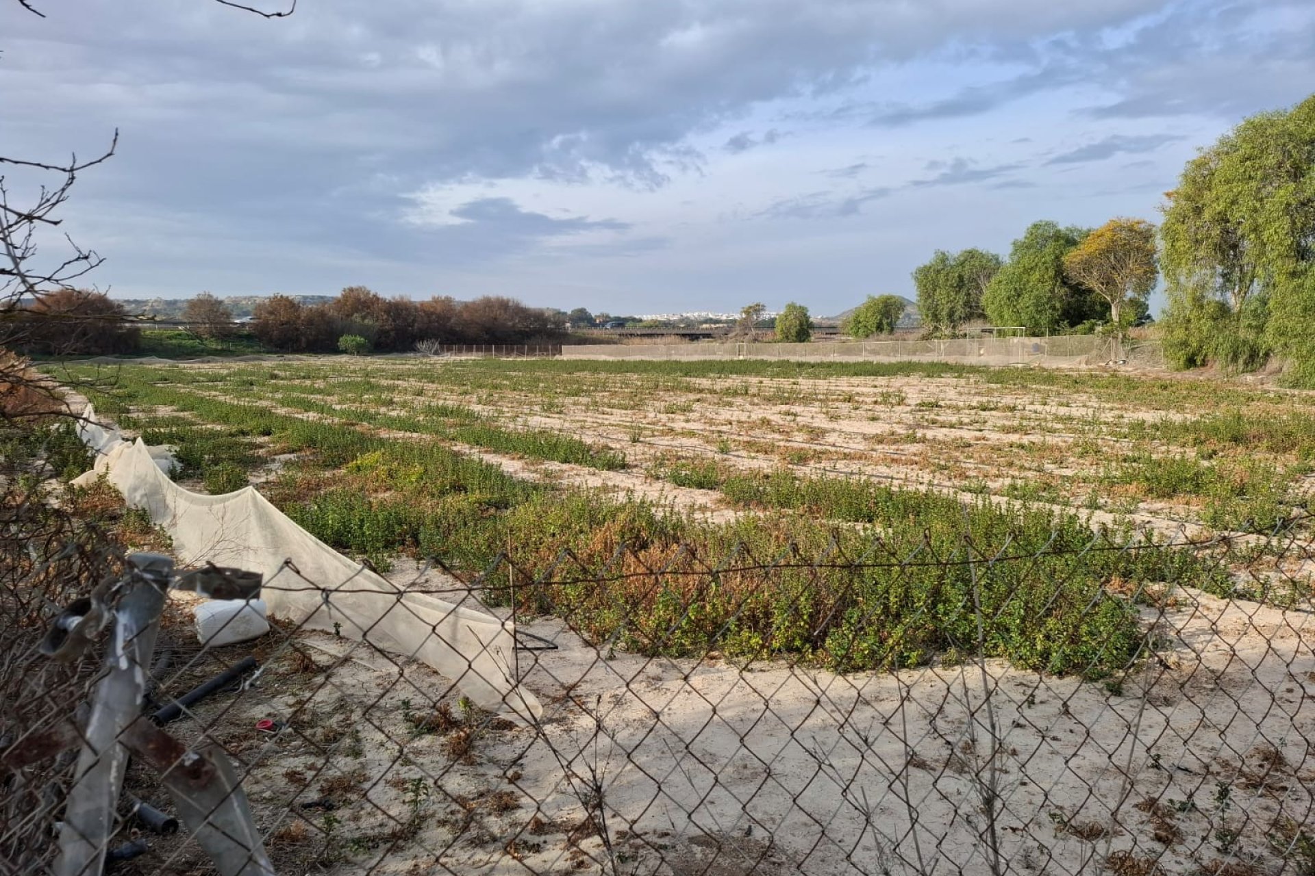 Prodej - Pozemek - Guardamar del Segura - Guardamar pueblo