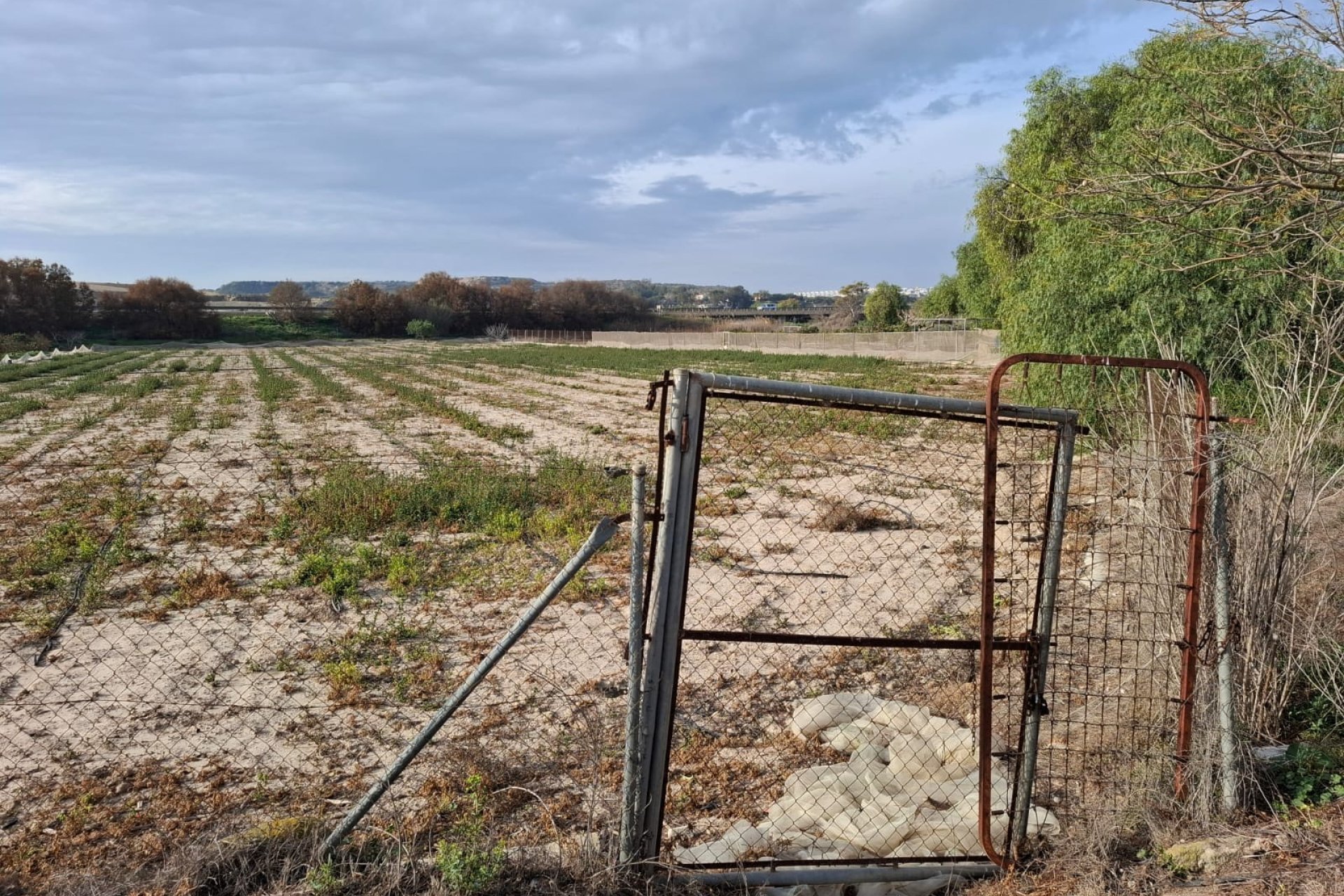 Prodej - Pozemek - Guardamar del Segura - Guardamar pueblo