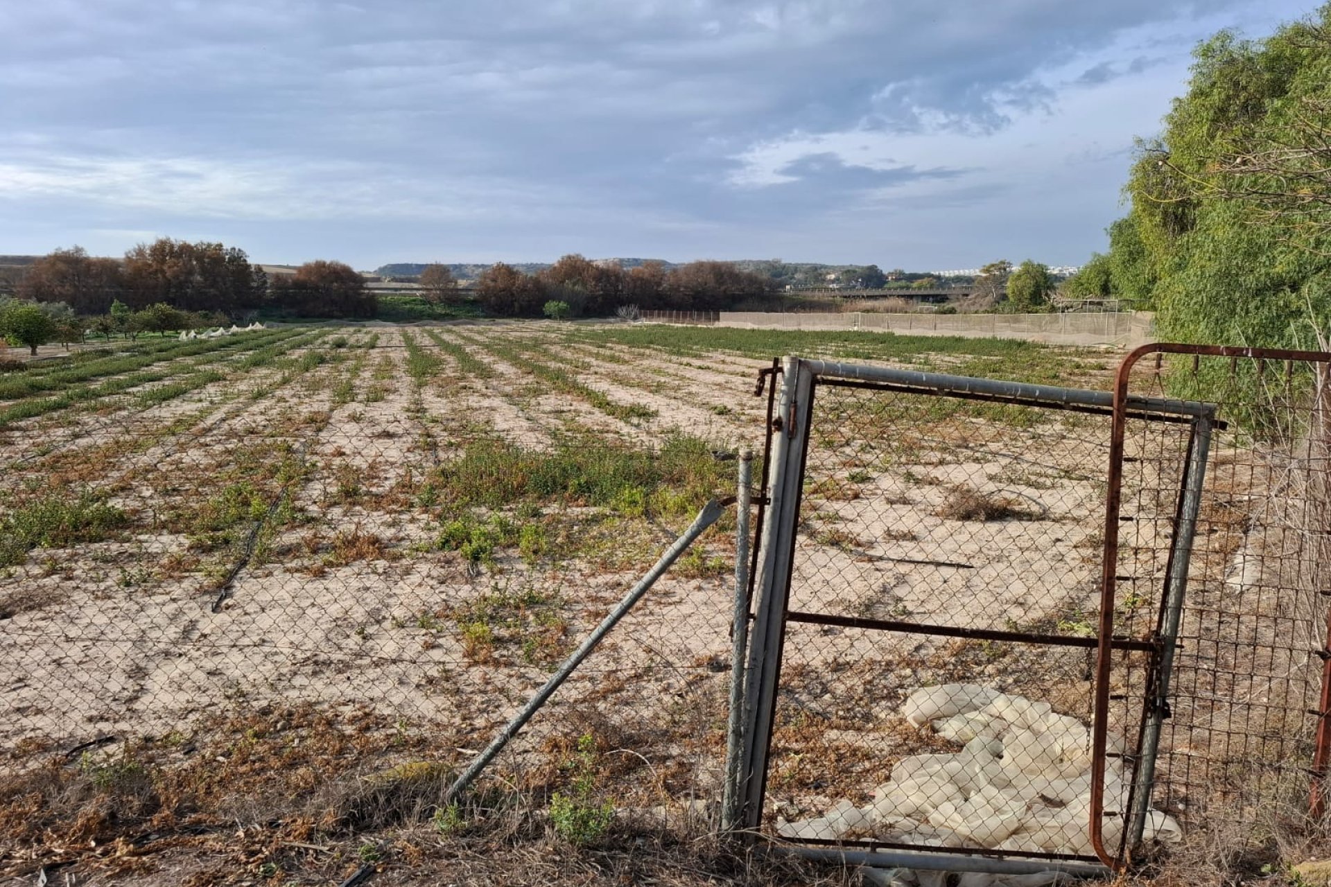 Prodej - Pozemek - Guardamar del Segura - Guardamar pueblo