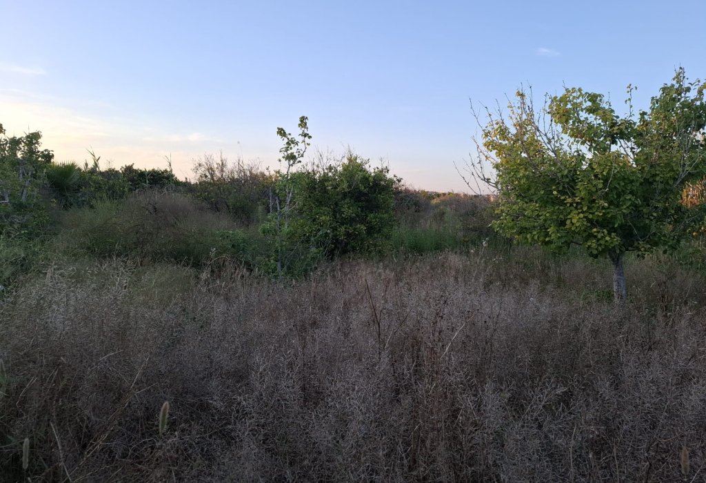 Prodej - Pozemek - Guardamar del Segura - Guardamar pueblo