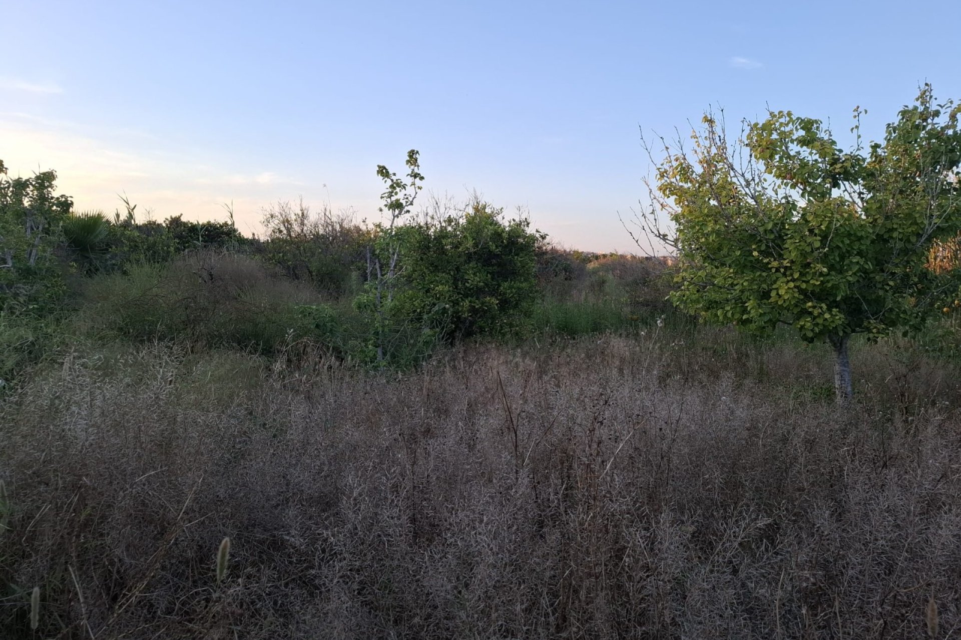 Prodej - Pozemek - Guardamar del Segura - Guardamar pueblo